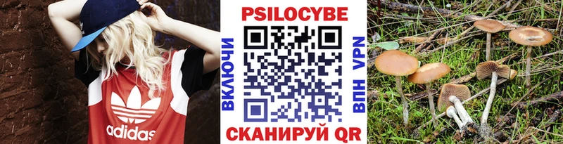 как найти   Реутов  Псилоцибиновые грибы мухоморы 